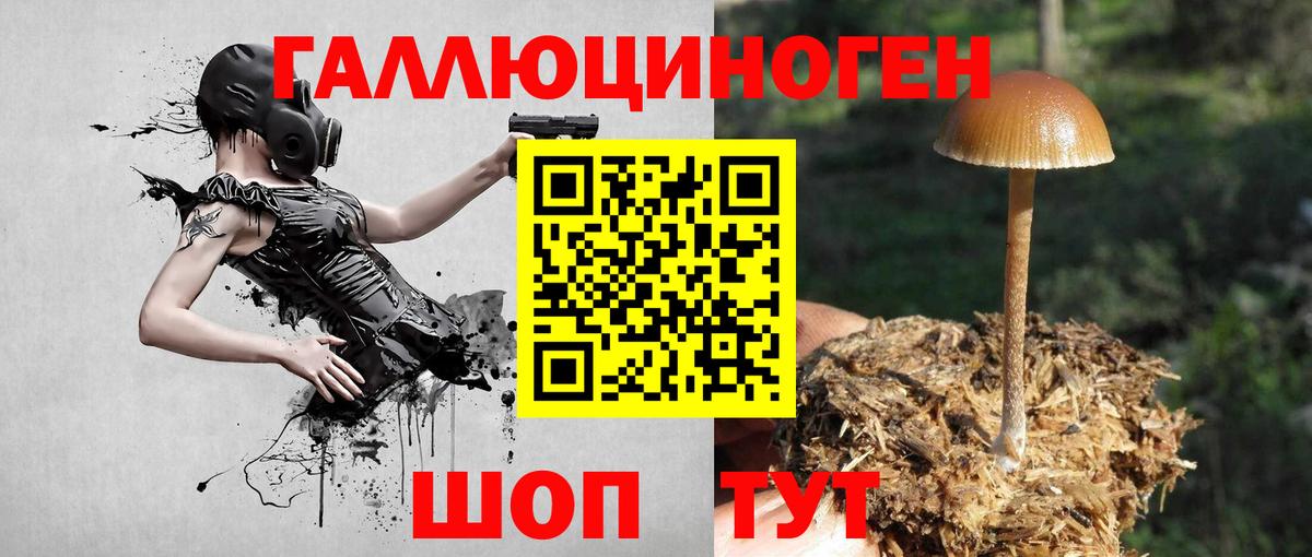 Асино  Галлюциногенные грибы Magic Shrooms  Вход с VPN 