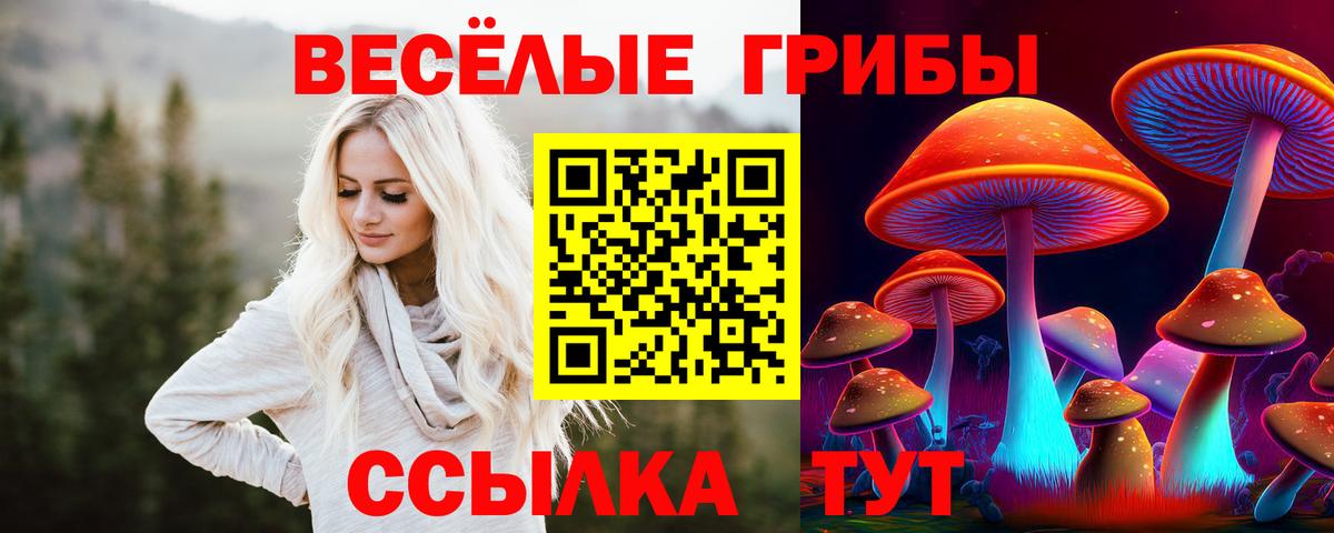 Галлюциногенные грибы MAGIC MUSHROOMS Асино