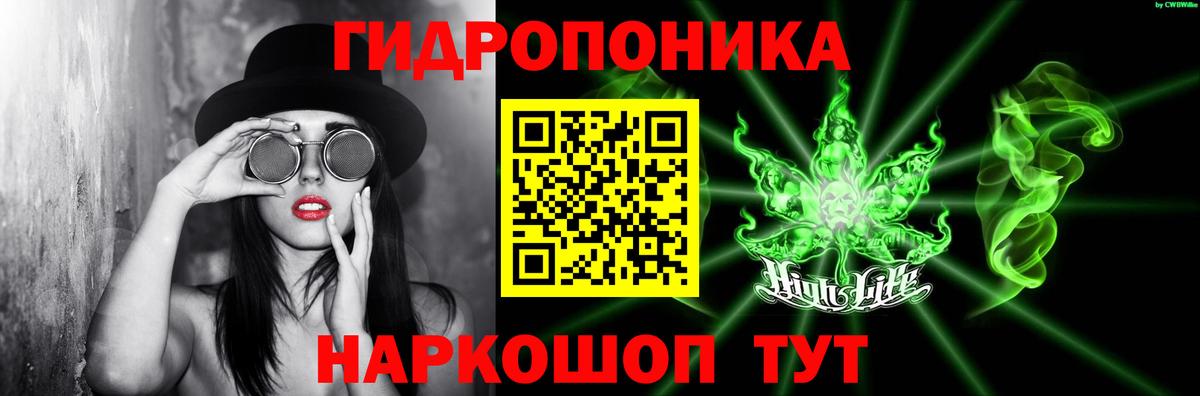 Бошки Шишки AK-47  Бошки марихуана THC 21%  Асино  Каннабис семена  Вход с VPN  Марихуана OG Kush 